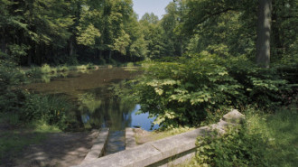 Rijksdienst voor het Cultureel Erfgoed: Wal, A.J. van der
