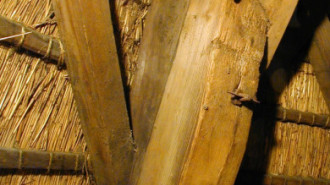 Rijksdienst voor het Cultureel Erfgoed: Terpstra, Frank