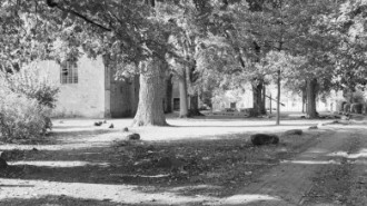 Rijksdienst voor het Cultureel Erfgoed: Scanlan, G.