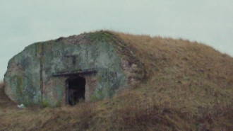 WikiMedia