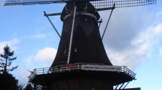 WikiMedia
