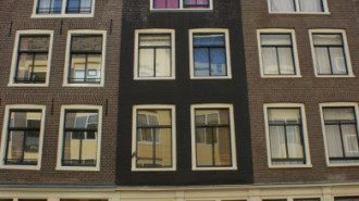 WikiMedia