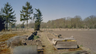 Rijksdienst voor het Cultureel Erfgoed: Heins, IJ.Th.