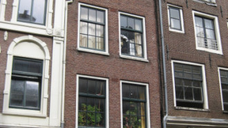 WikiMedia