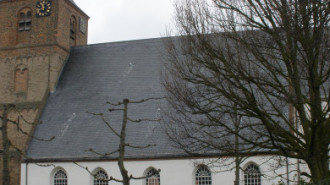 WikiMedia