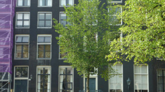 WikiMedia