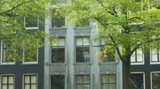 WikiMedia