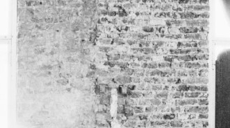 Rijksdienst voor het Cultureel Erfgoed: Tangel, L.M.