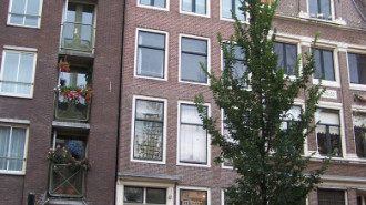 WikiMedia