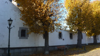 WikiMedia