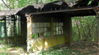 WikiMedia