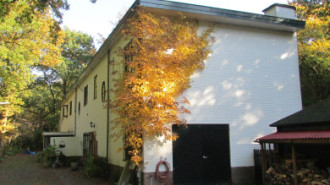 WikiMedia