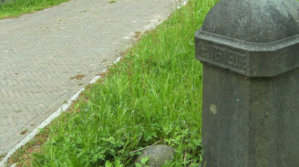 WikiMedia