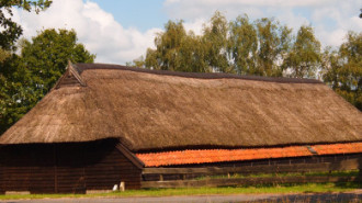 WikiMedia