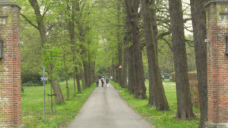 WikiMedia