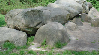 WikiMedia