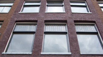 WikiMedia