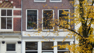 WikiMedia