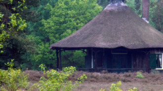 WikiMedia