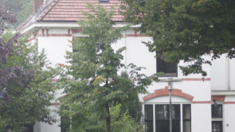 WikiMedia