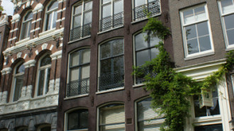 WikiMedia