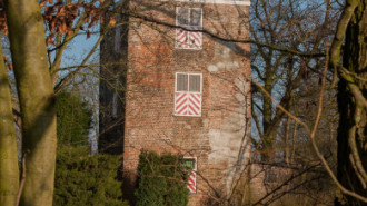 Rijksdienst voor het Cultureel Erfgoed: Speelman, Albert