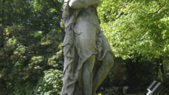 WikiMedia