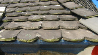 Rijksdienst voor het Cultureel Erfgoed: Terpstra, Frank