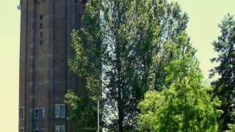 WikiMedia