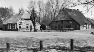 WikiMedia