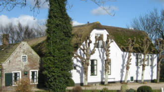 WikiMedia