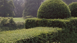 Rijksdienst voor het Cultureel Erfgoed: Heuff M. (Marijke)