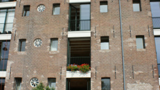WikiMedia