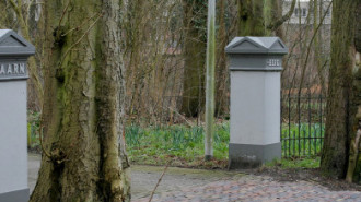 Rijksdienst voor het Cultureel Erfgoed: Speelman, Albert