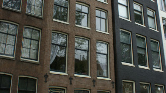 WikiMedia