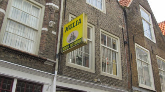 WikiMedia