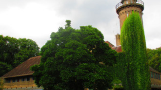 WikiMedia