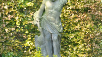 WikiMedia