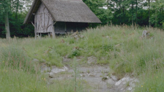WikiMedia
