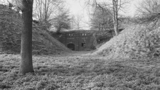 Rijksdienst voor het Cultureel Erfgoed: Schollen, A.H.C.