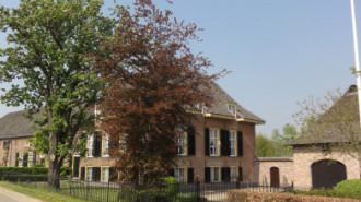 WikiMedia
