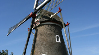 WikiMedia