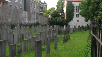 WikiMedia