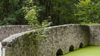 Rijksdienst voor het Cultureel Erfgoed: Technau, Sergé