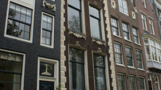 WikiMedia