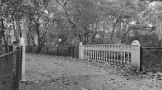 Rijksdienst voor het Cultureel Erfgoed: Dukker, G.J.