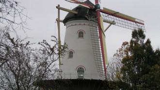 WikiMedia