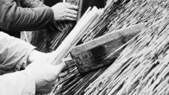 Rijksdienst voor het Cultureel Erfgoed: Ooi, T.Th.M. van (Boskoop)