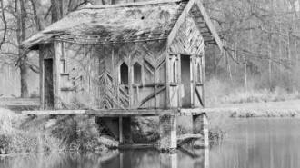 Rijksdienst voor het Cultureel Erfgoed: Galen, P. van