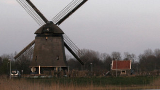 WikiMedia